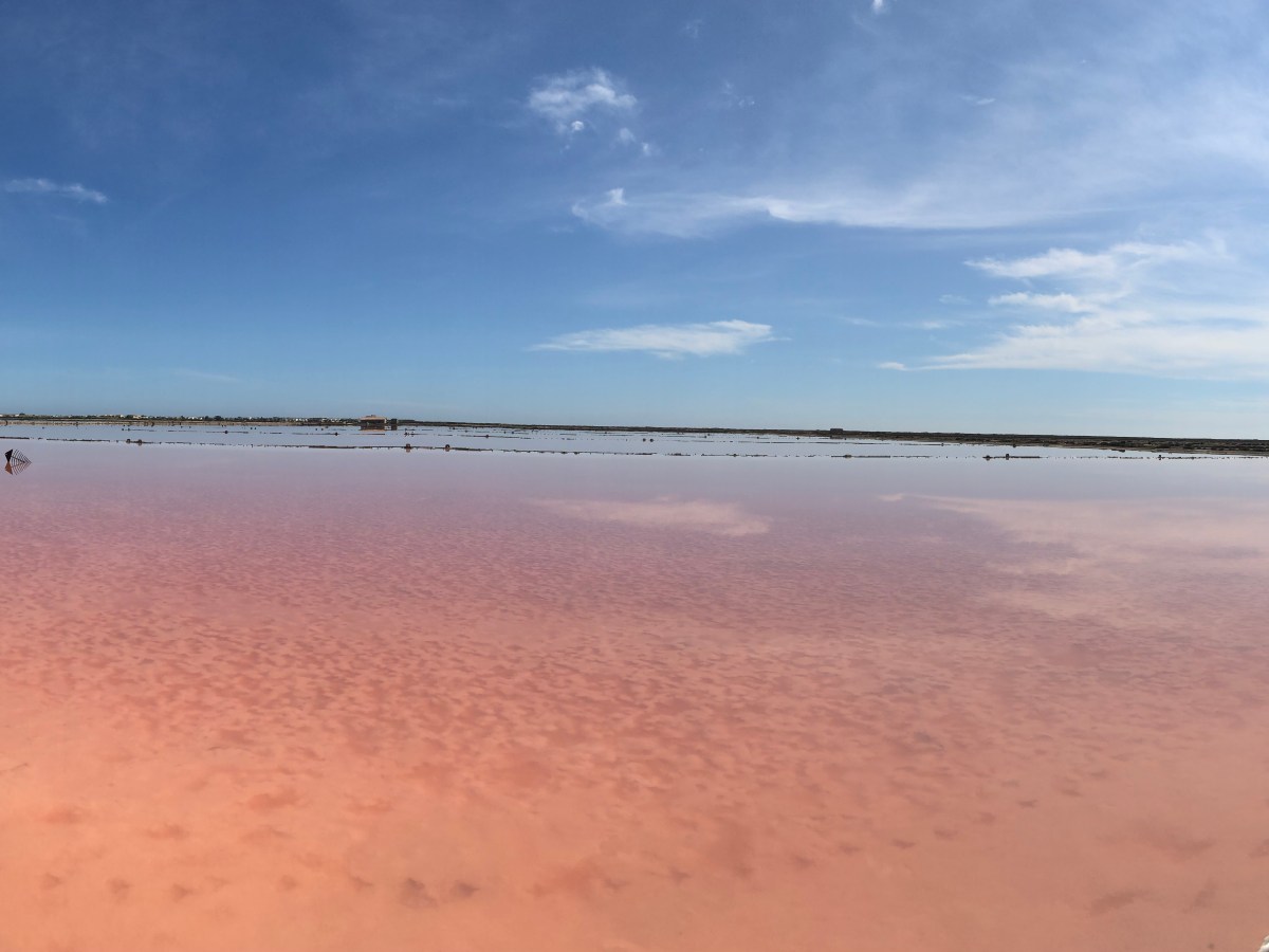GRUISSAN le village l&rsquo;étang